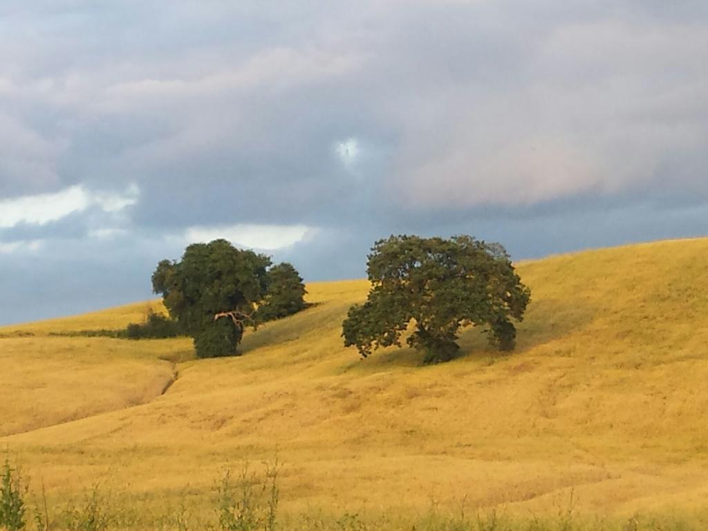Agriturismo San Pierino Monteroni dʼArbia Dış mekan fotoğraf