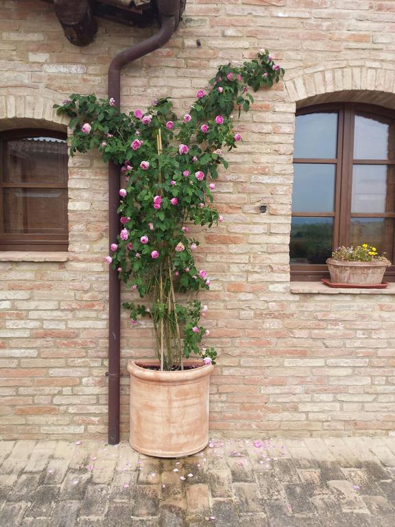Agriturismo San Pierino Monteroni dʼArbia Dış mekan fotoğraf